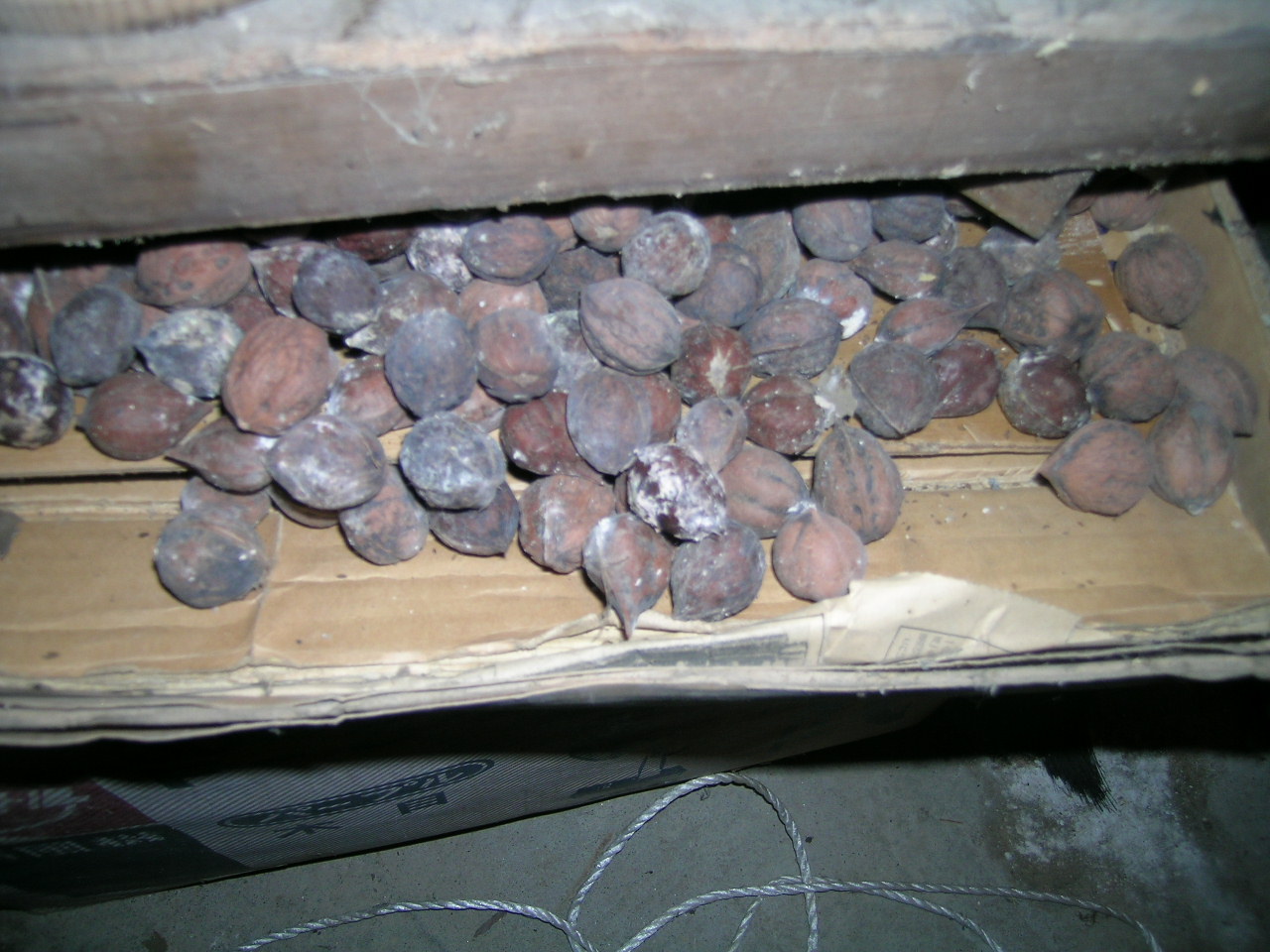 a0203003_21524280.jpg