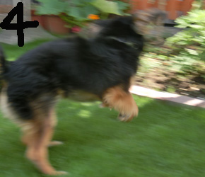 a0249004_20234353.jpg