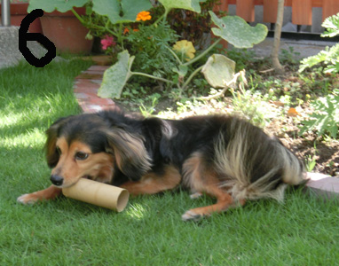 a0249004_20235579.jpg