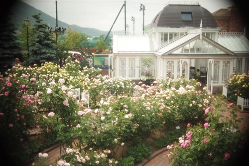 c0202705_1295443.jpg