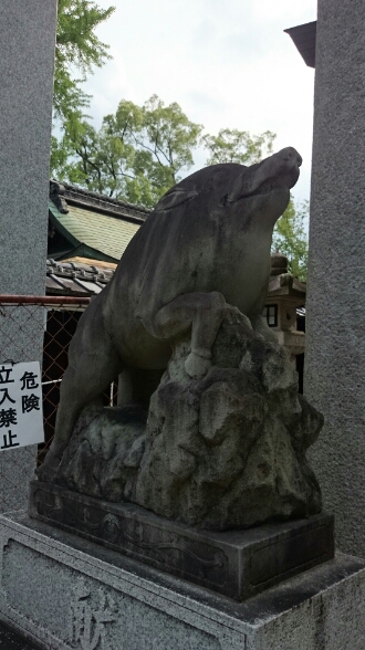 a0228408_9195945.jpg