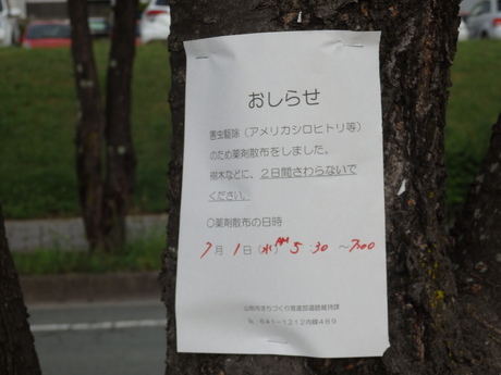 f0250515_20464057.jpg