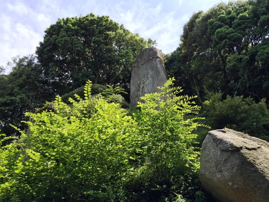d0167422_629268.jpg