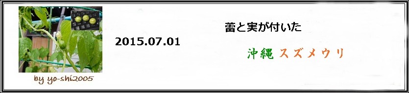 e0033229_17421855.jpg