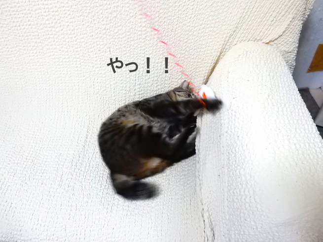 f0247039_1242531.jpg