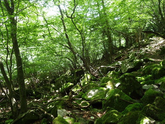 e0164643_16213934.jpg