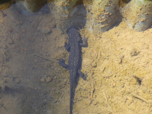 c0179351_20284246.jpg