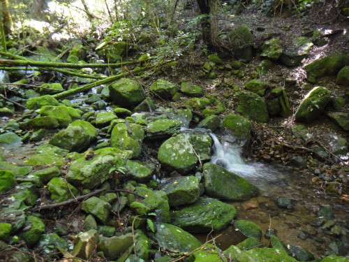 c0179351_20355788.jpg