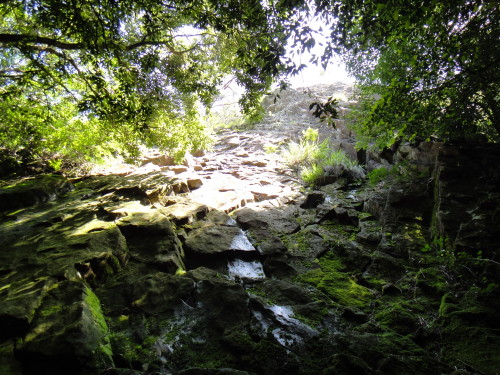 c0179351_20391991.jpg