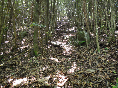 c0179351_20453963.jpg