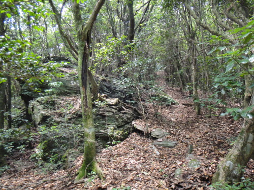 c0179351_20472272.jpg