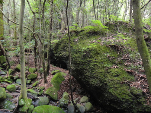 c0179351_20475818.jpg