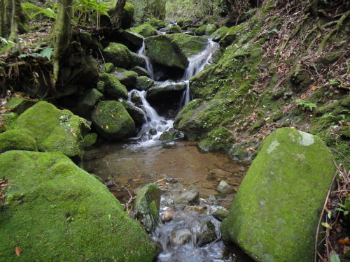 c0179351_20482924.jpg