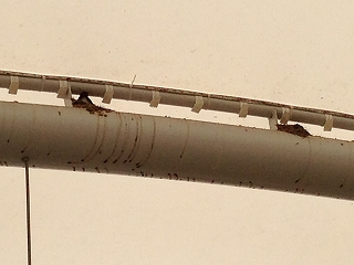 d0031853_3155835.jpg