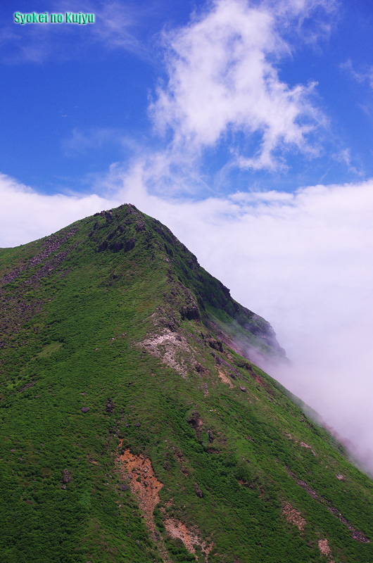 c0288262_1731949.jpg