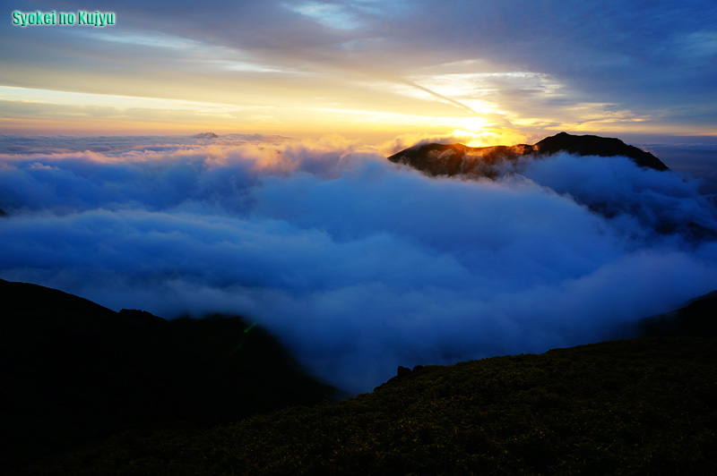 c0288262_174344.jpg