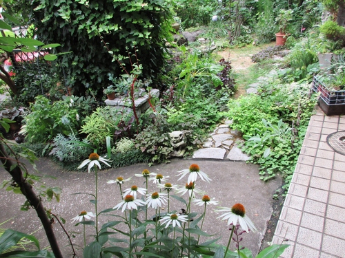 d0179410_18494167.jpg