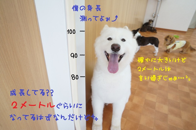 d0220513_1449451.jpg