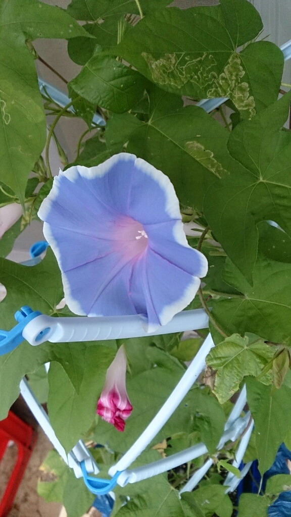 c0117621_13223677.jpg