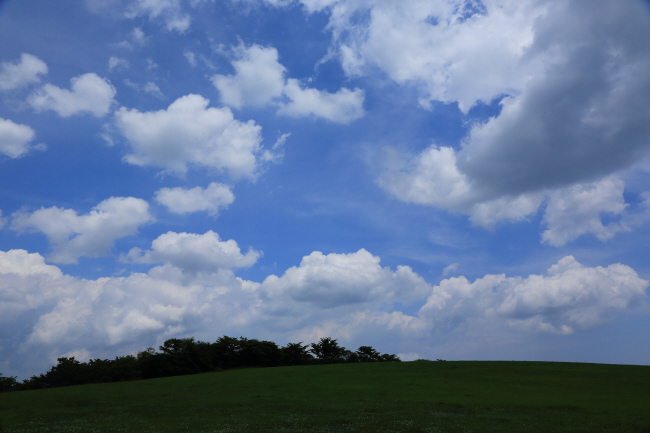f0017530_2344140.jpg