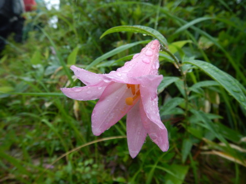 f0118332_00212511.jpg
