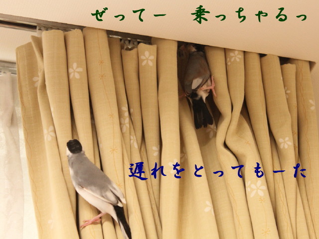 c0365734_21015760.jpg