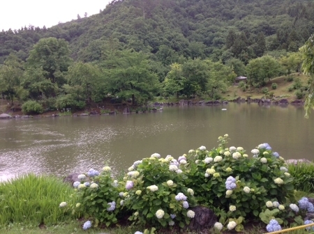 d0092235_09122734.jpg