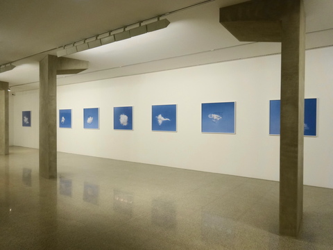 c0186738_2394930.jpg