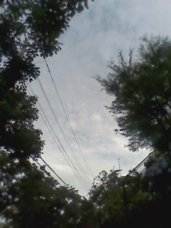 e0150843_23463546.jpg