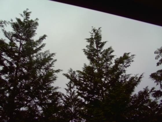 c0358850_11061991.jpg