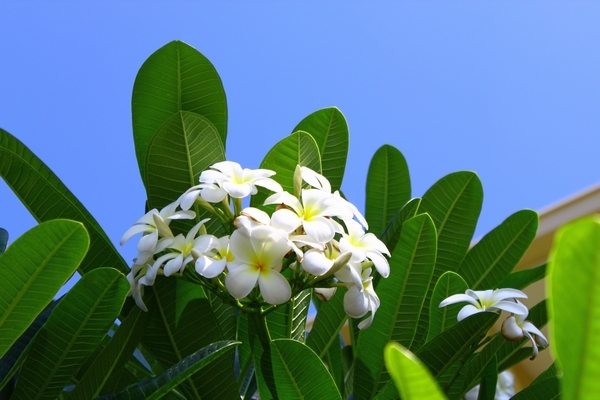 a0090451_10244759.jpg