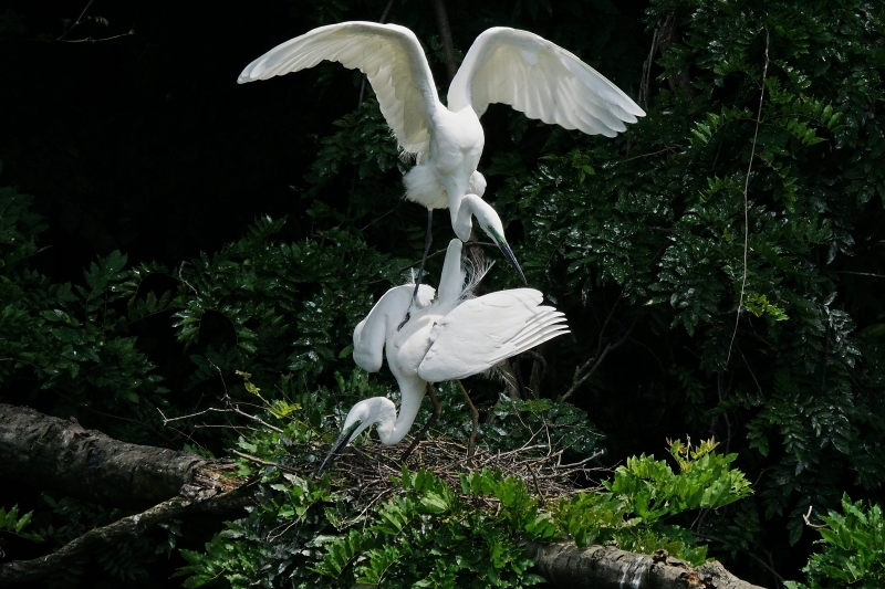 e0229455_12550513.jpg