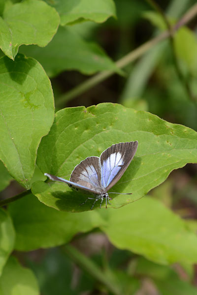 c0043361_2332662.jpg