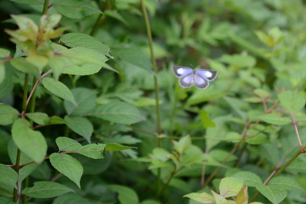 c0043361_233545.jpg