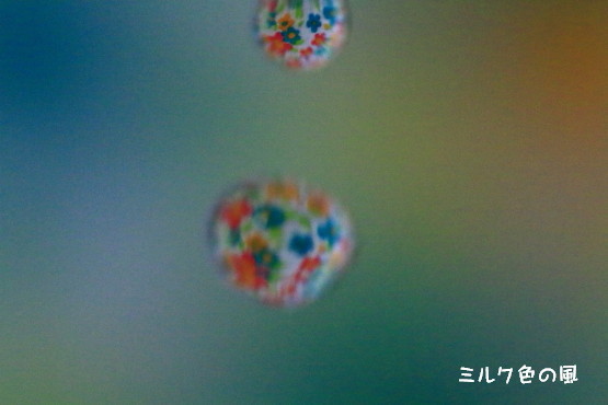 c0368870_12443477.jpg