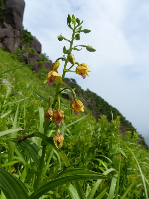 f0357487_23434582.jpg