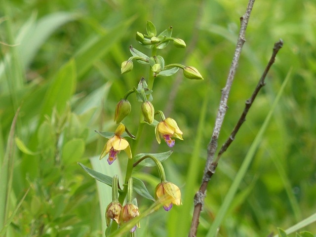 f0357487_23441086.jpg