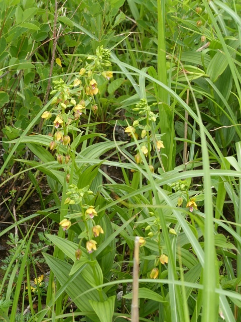 f0357487_23473866.jpg