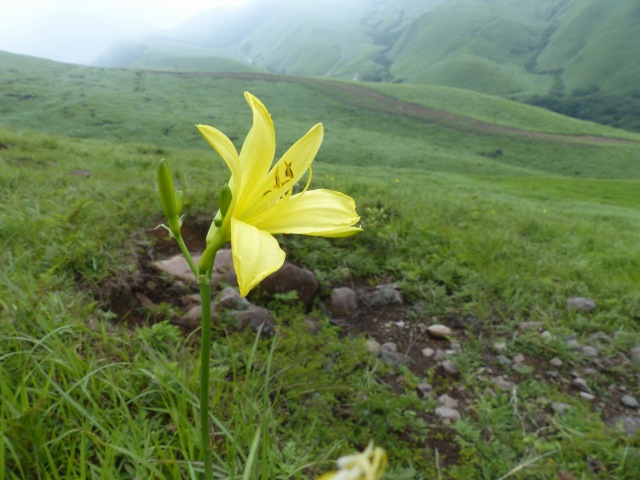 f0357487_23571131.jpg