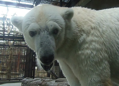 f0297893_1538912.jpg