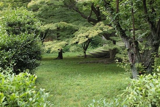 e0209997_20222550.jpg