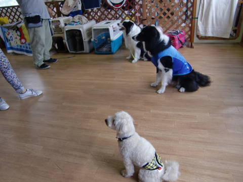 a0338800_19015827.jpg