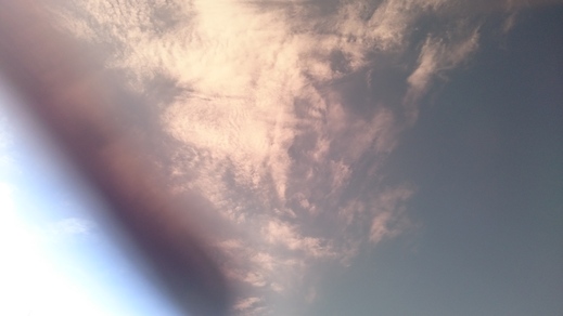 d0149105_7355386.jpg