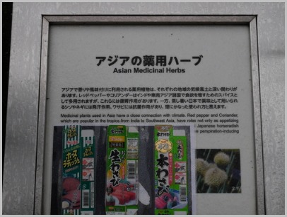 c0301808_03888.jpg