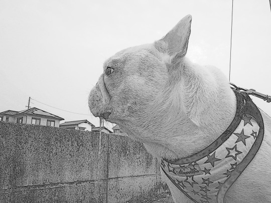 a0158613_15111387.jpg