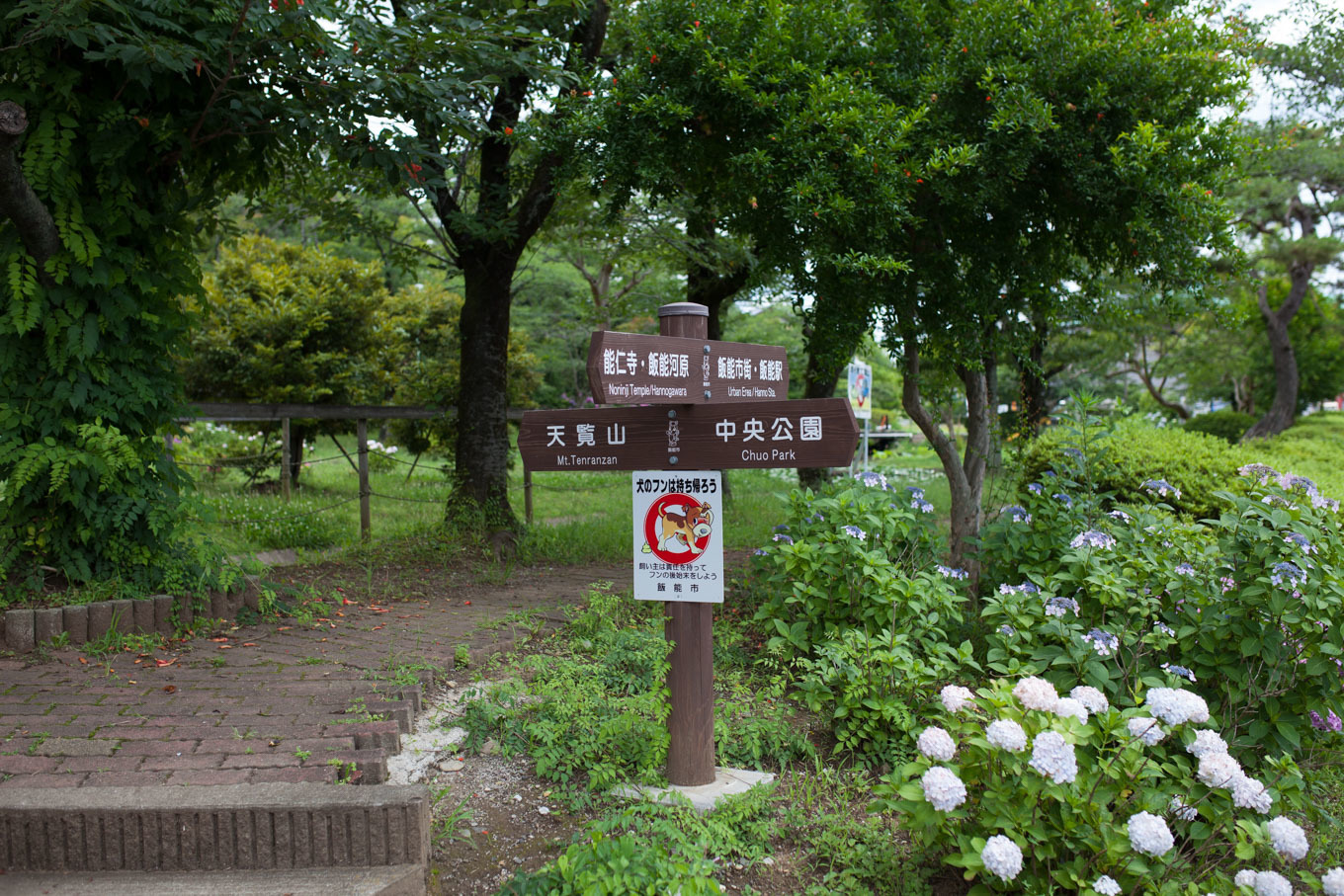 c0369219_18090714.jpg