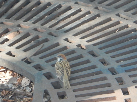 f0118332_23410596.jpg