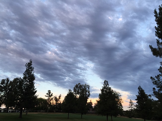 b0198033_635584.jpg