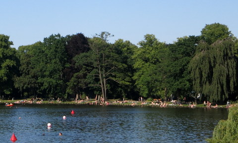 f0210340_5444589.jpg