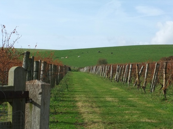 e0038047_0192324.jpg